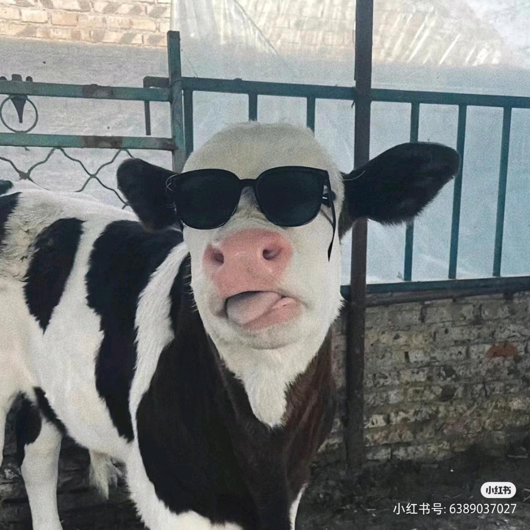 东北部牛仔🤠