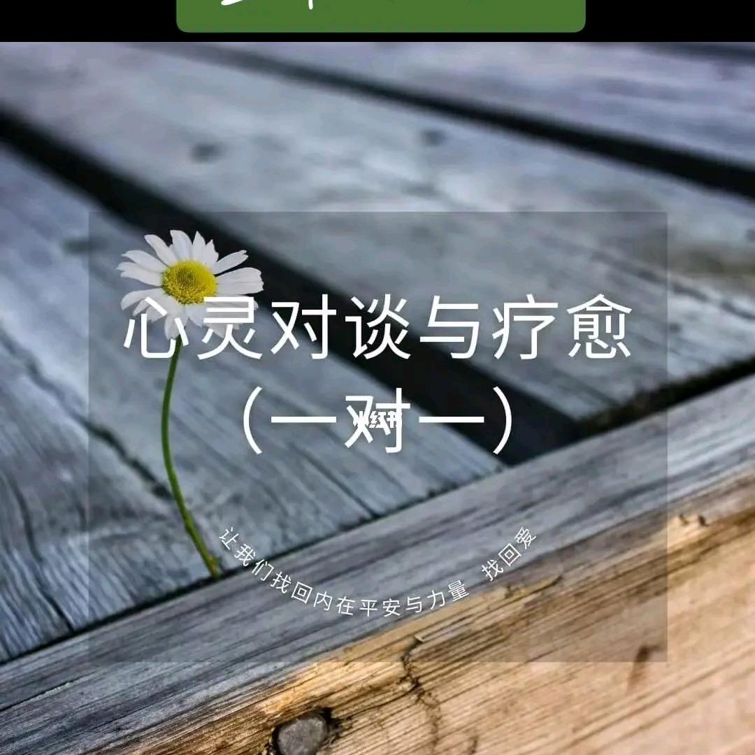 金点子夜听