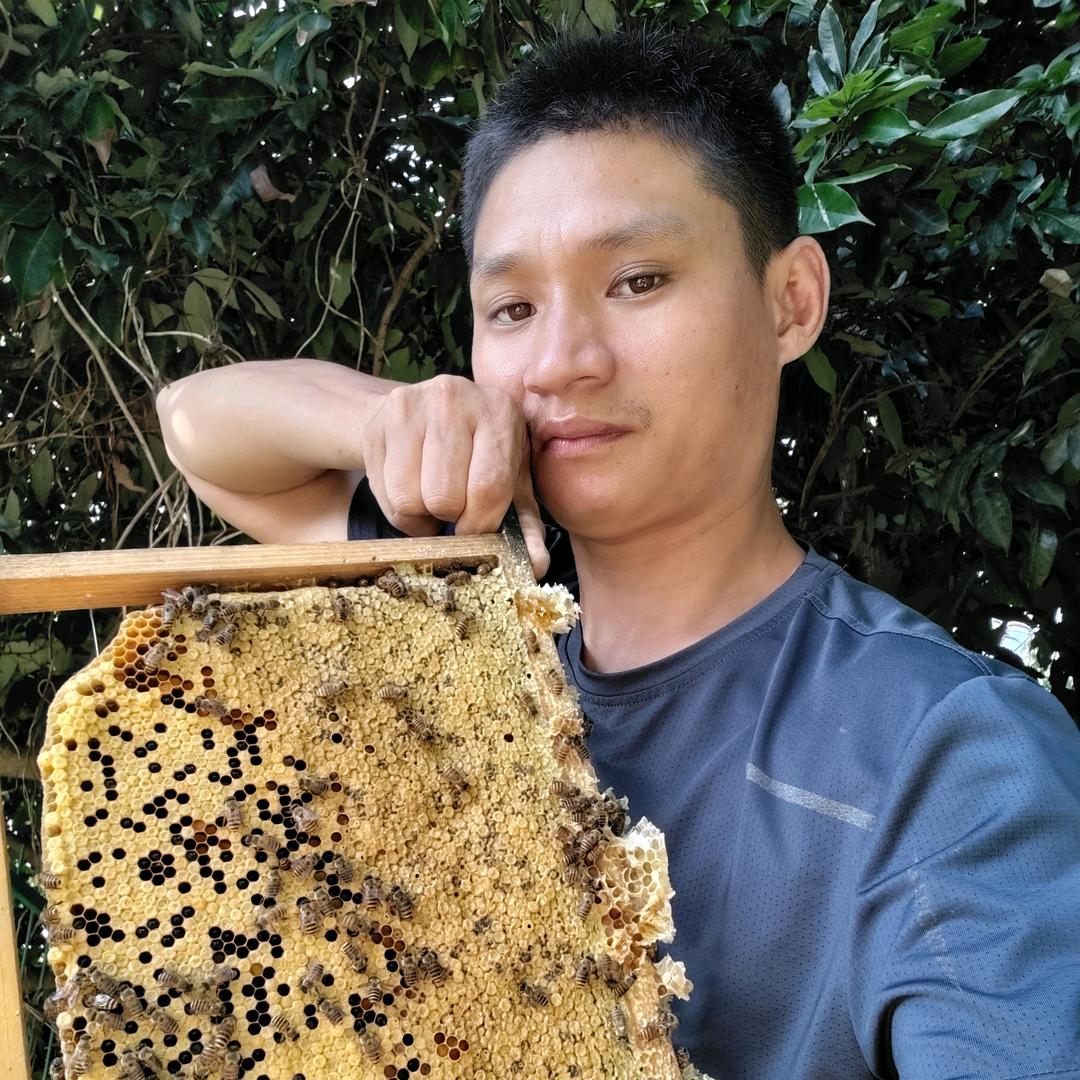 四处游玩的我