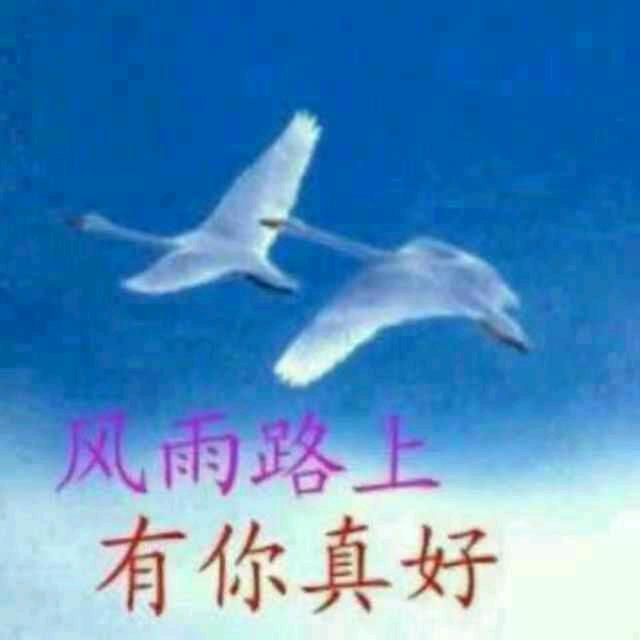 李520