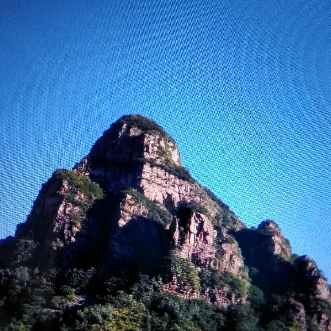 高振峰942