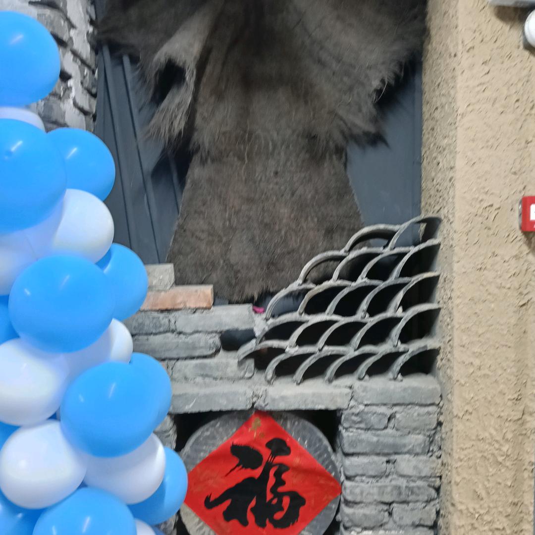 吉爷