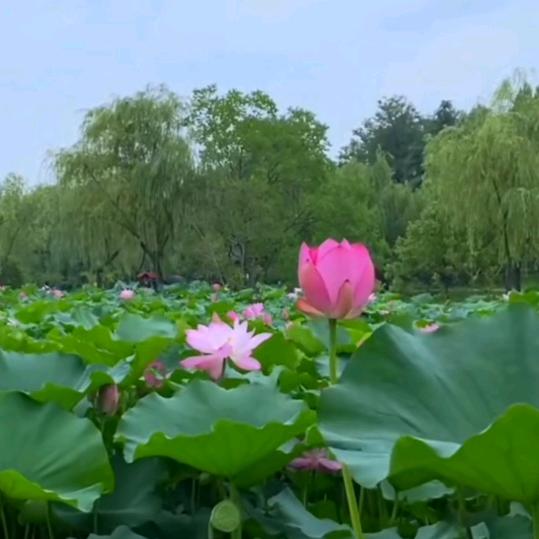 天地之间