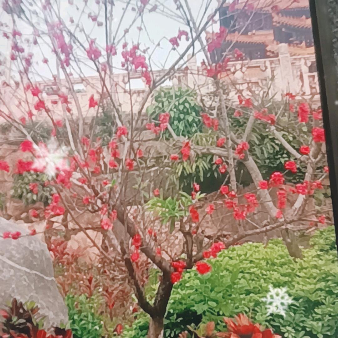 发发好物