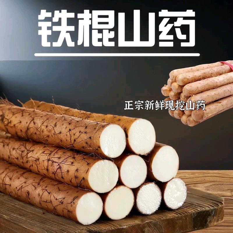 正宗河南铁棍山药