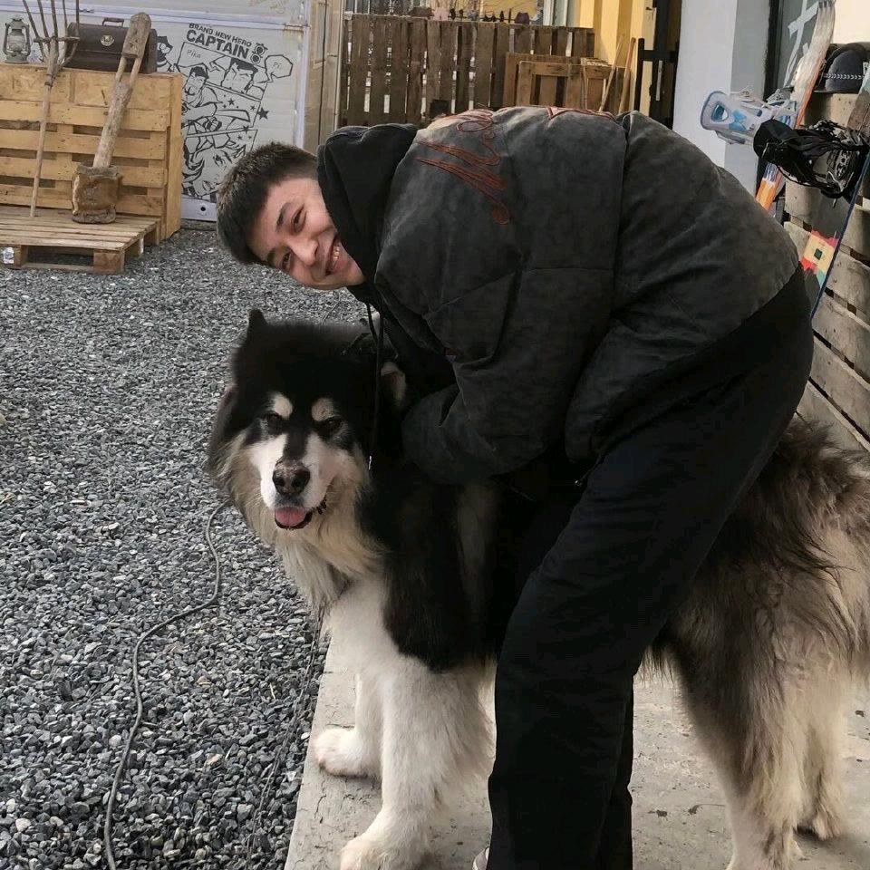 枫 叶 同 学