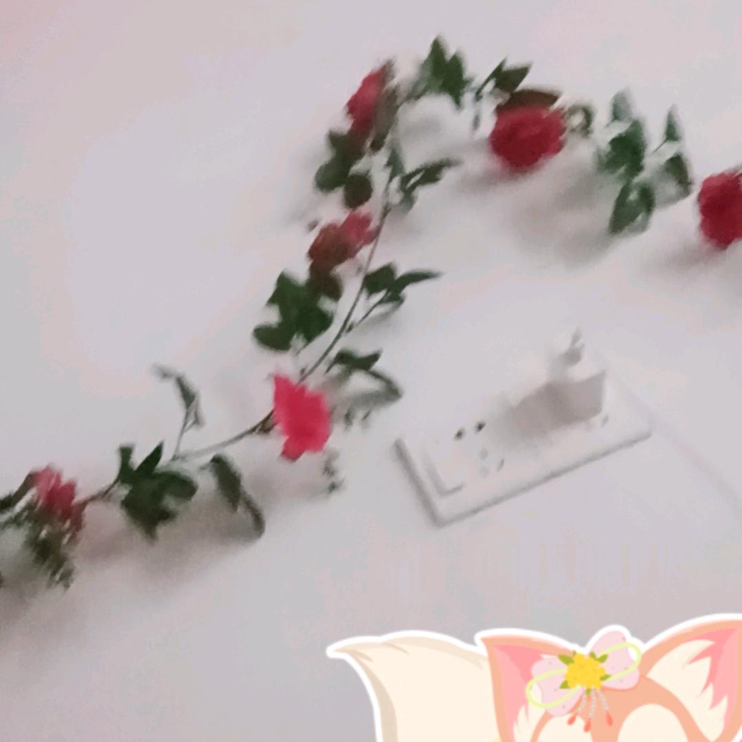 00000