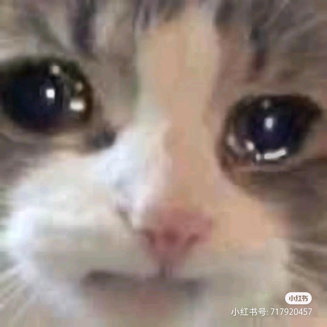 长恩