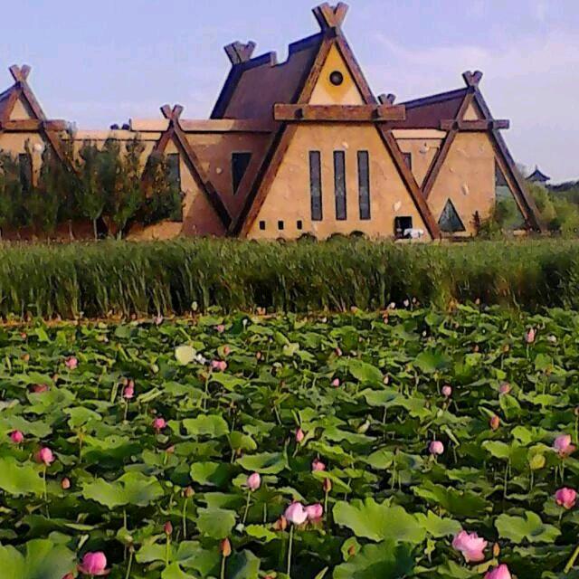 权陇