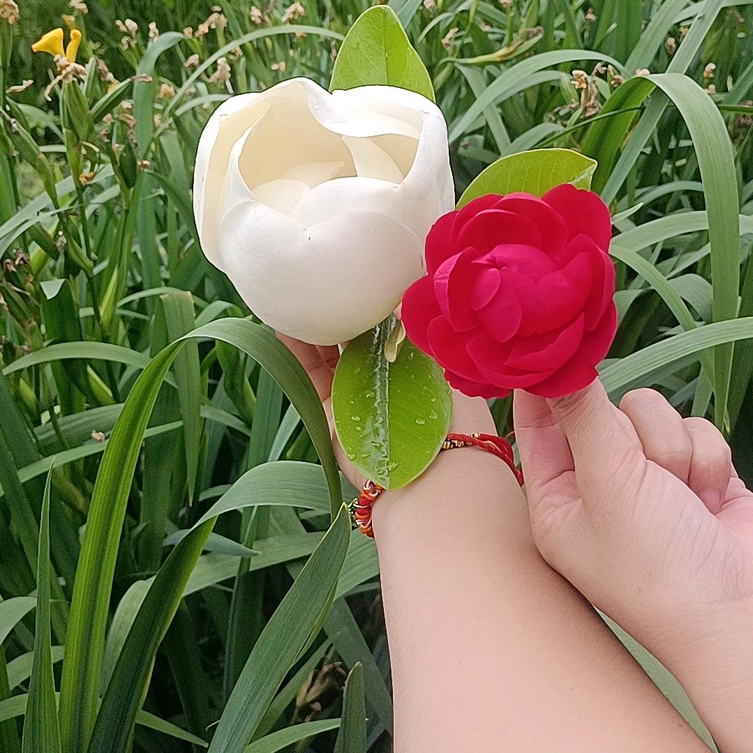 细雨停☆彩虹显