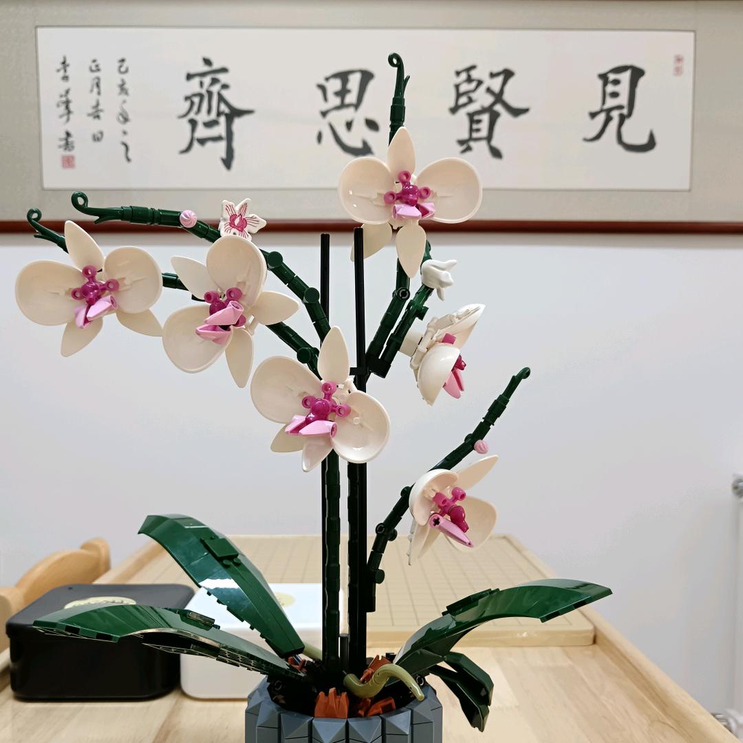 弈棋乐师