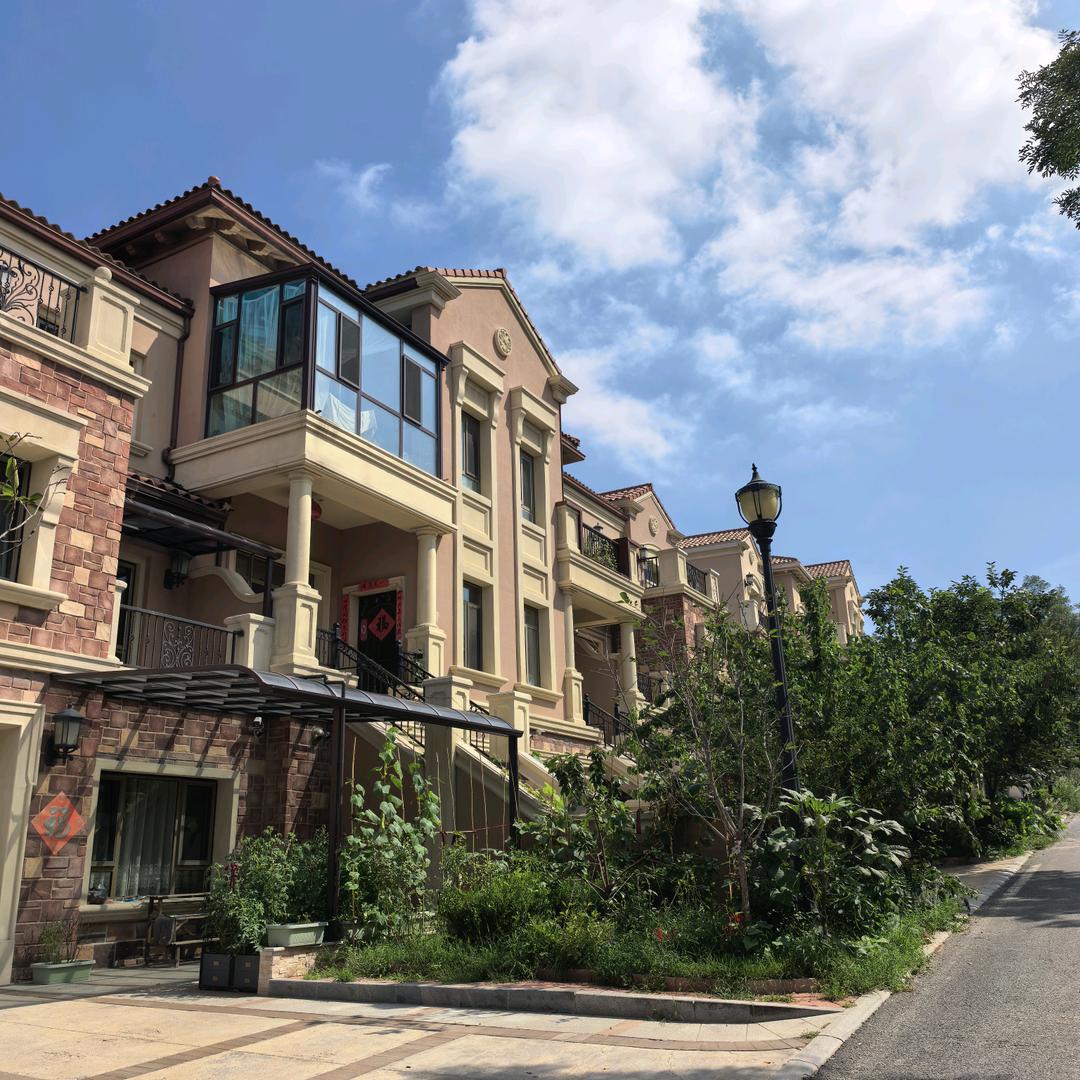 肥猫胖叔(๑´ڡ`๑)