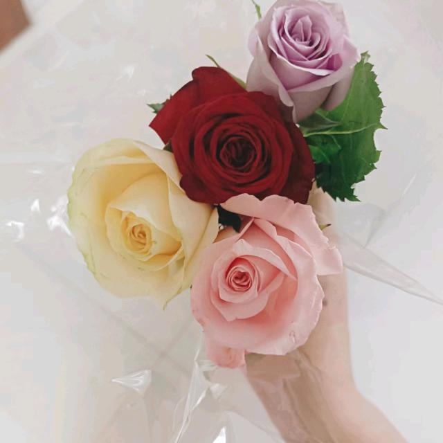 忧伤的旋律燃尽所有回忆