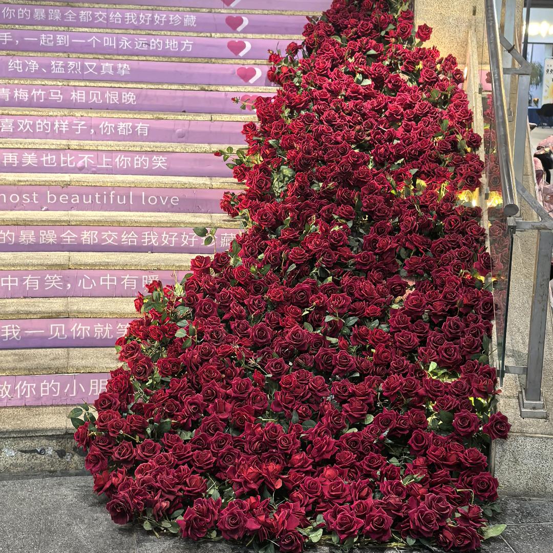 小乖~~~