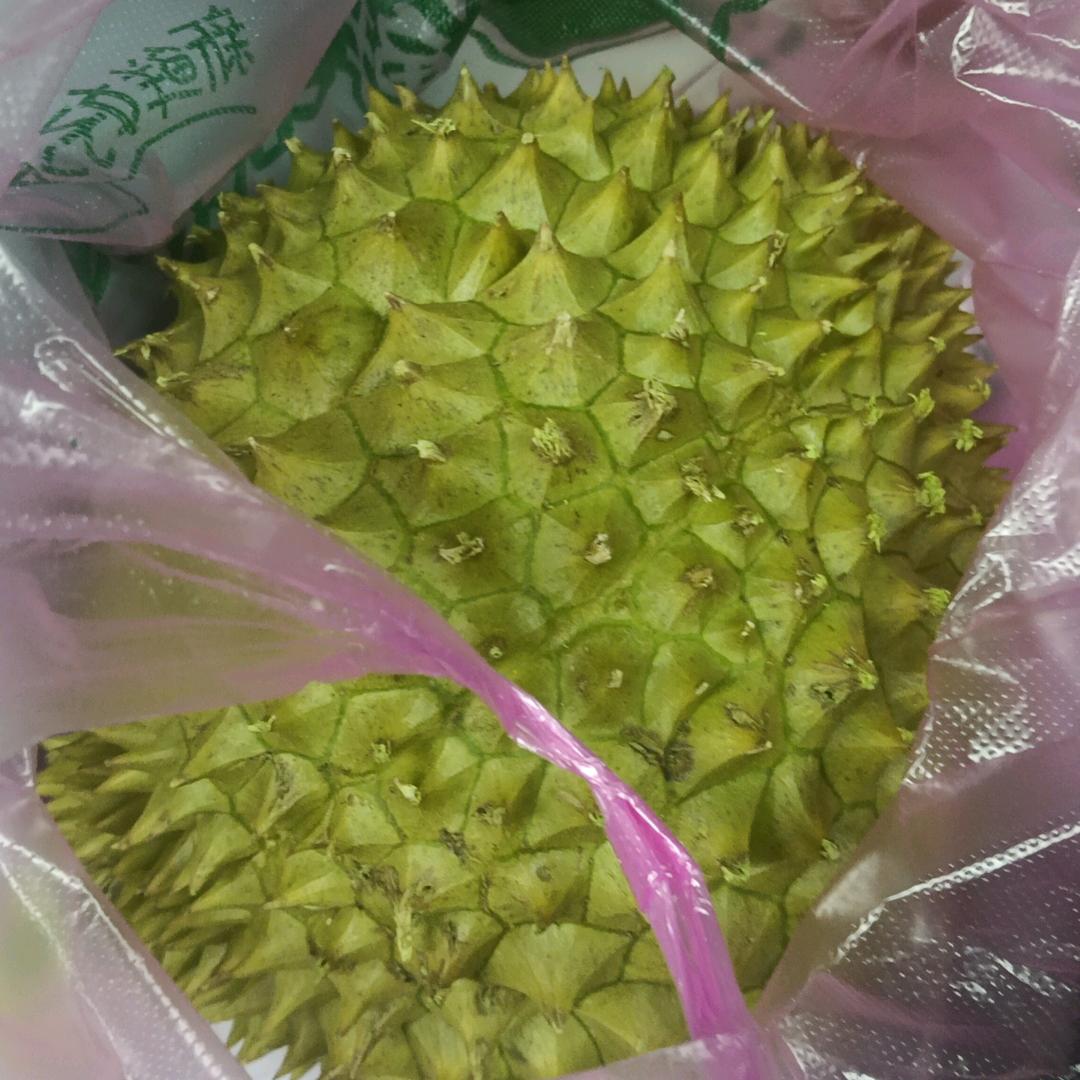 坚持就是胜利