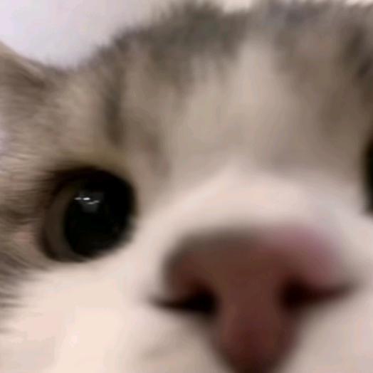 就叫小许吧~