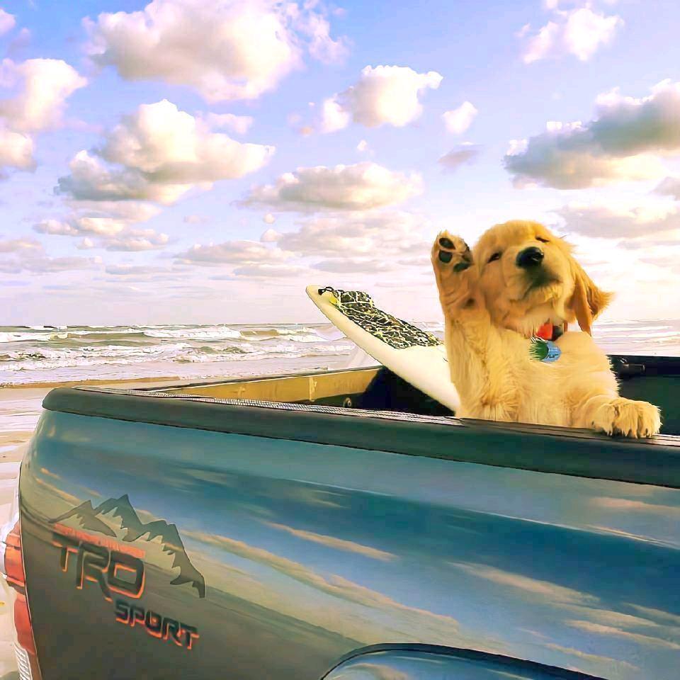 李mou没有肉🥩😏