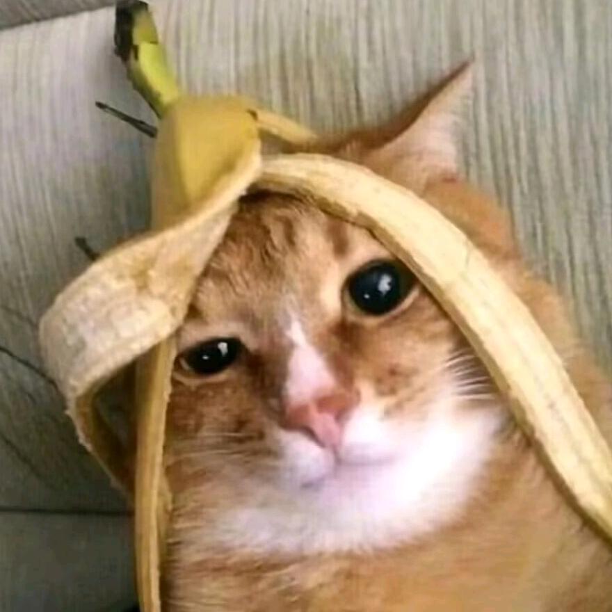 香蕉皮小咪