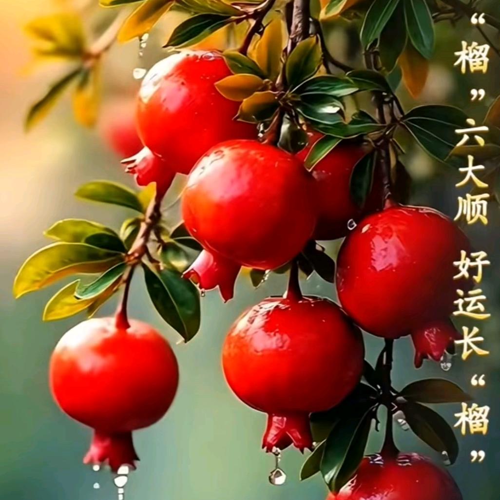 清清