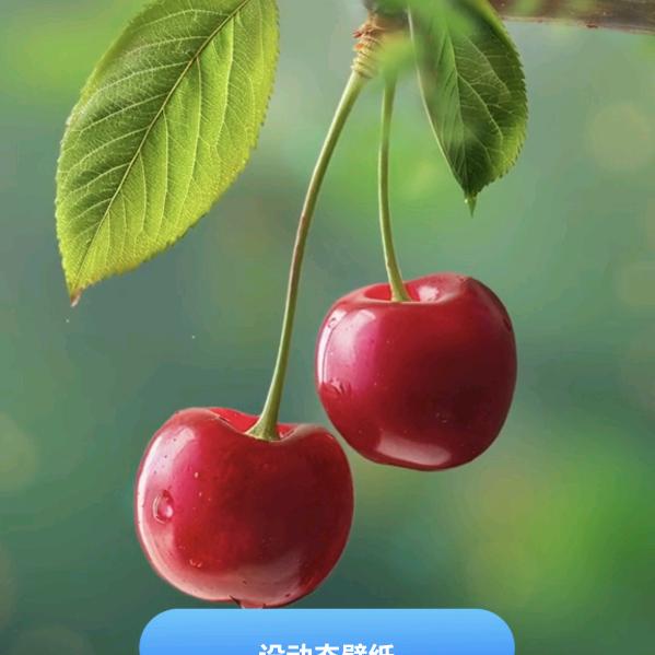 春暖花开🍎