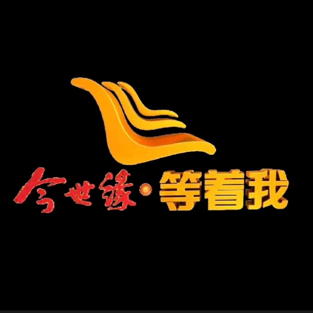 (今世缘)
