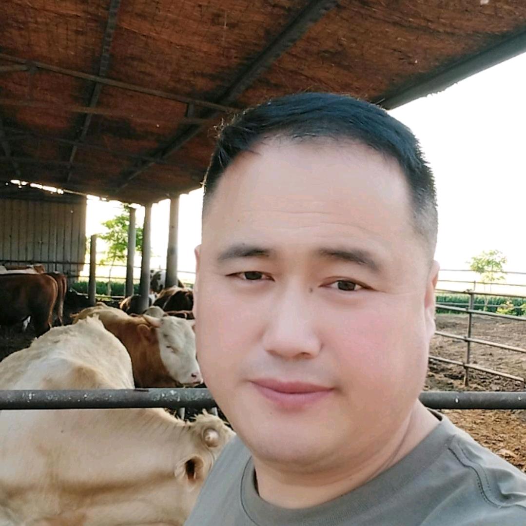 老黄牛（码头镇一品香牛肉）