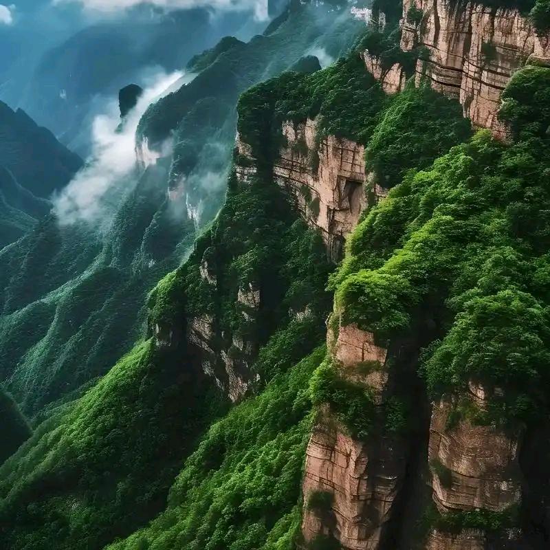 太行山盆景