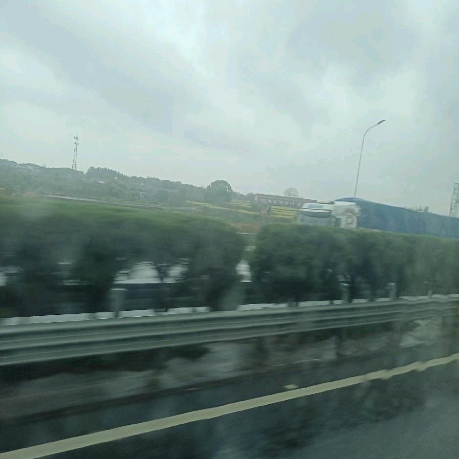 云南胖哥百草羊
