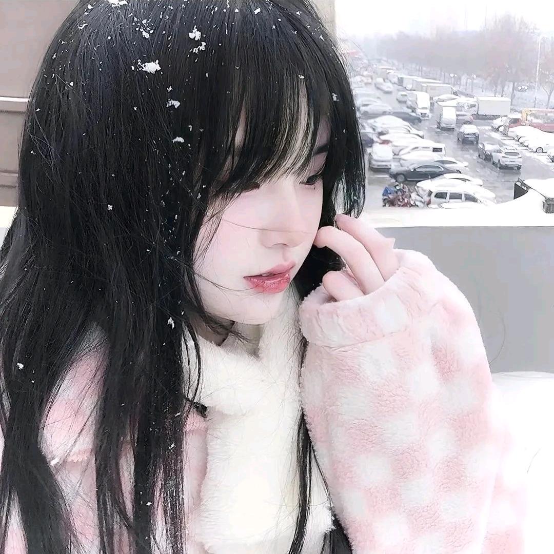 诺崽