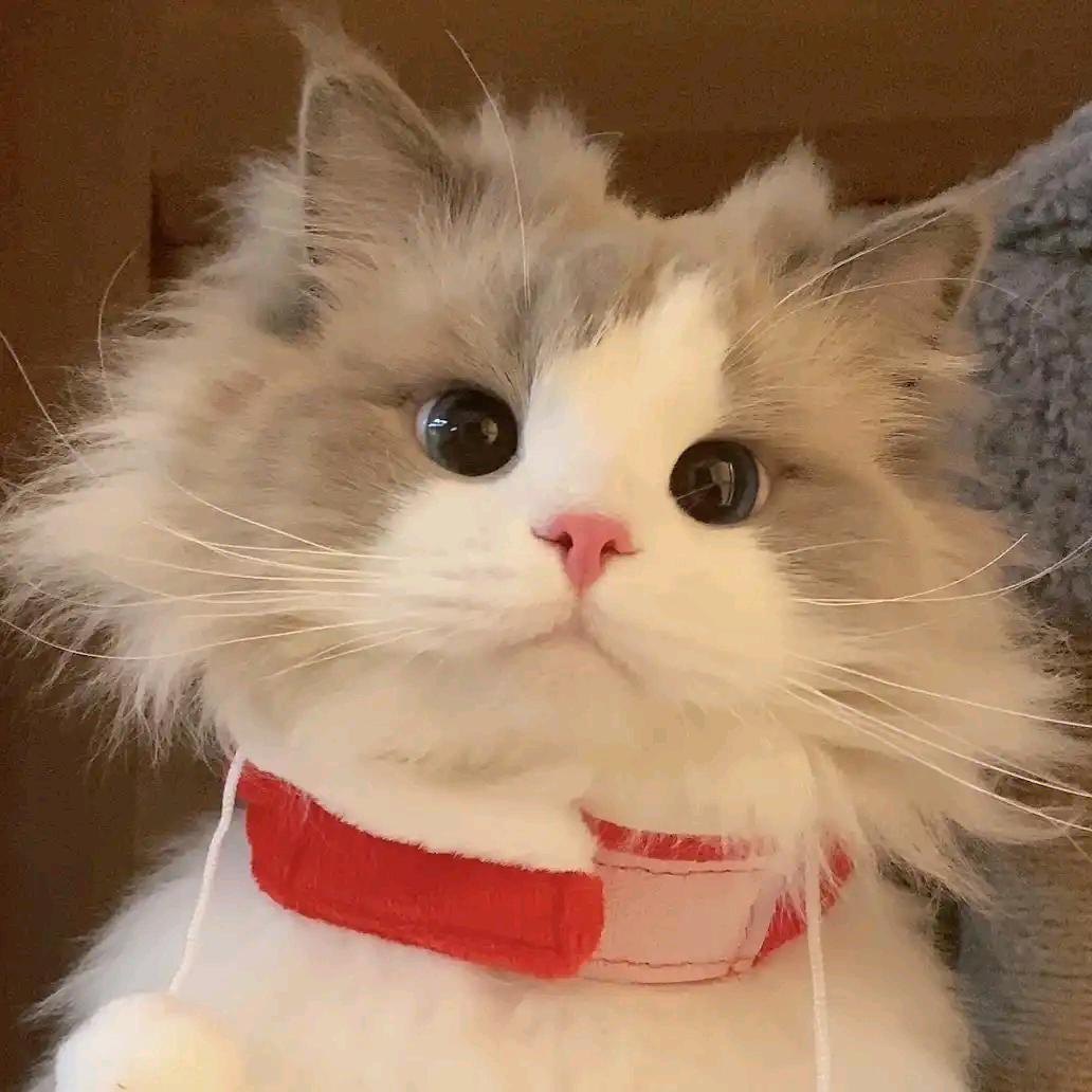 生活如此可爱