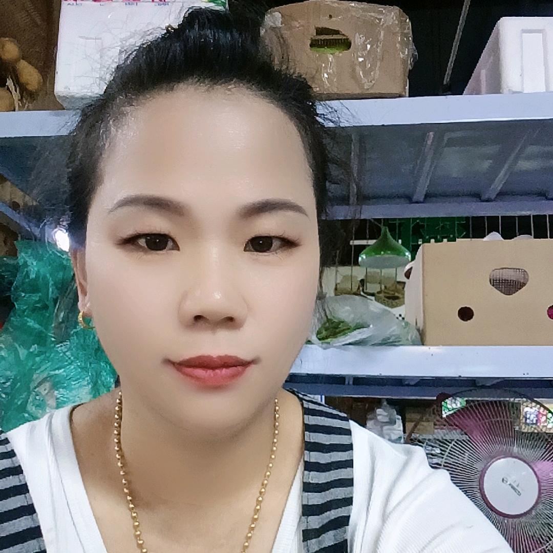 开心菊姐