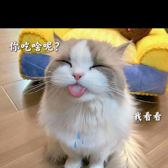 曦熙