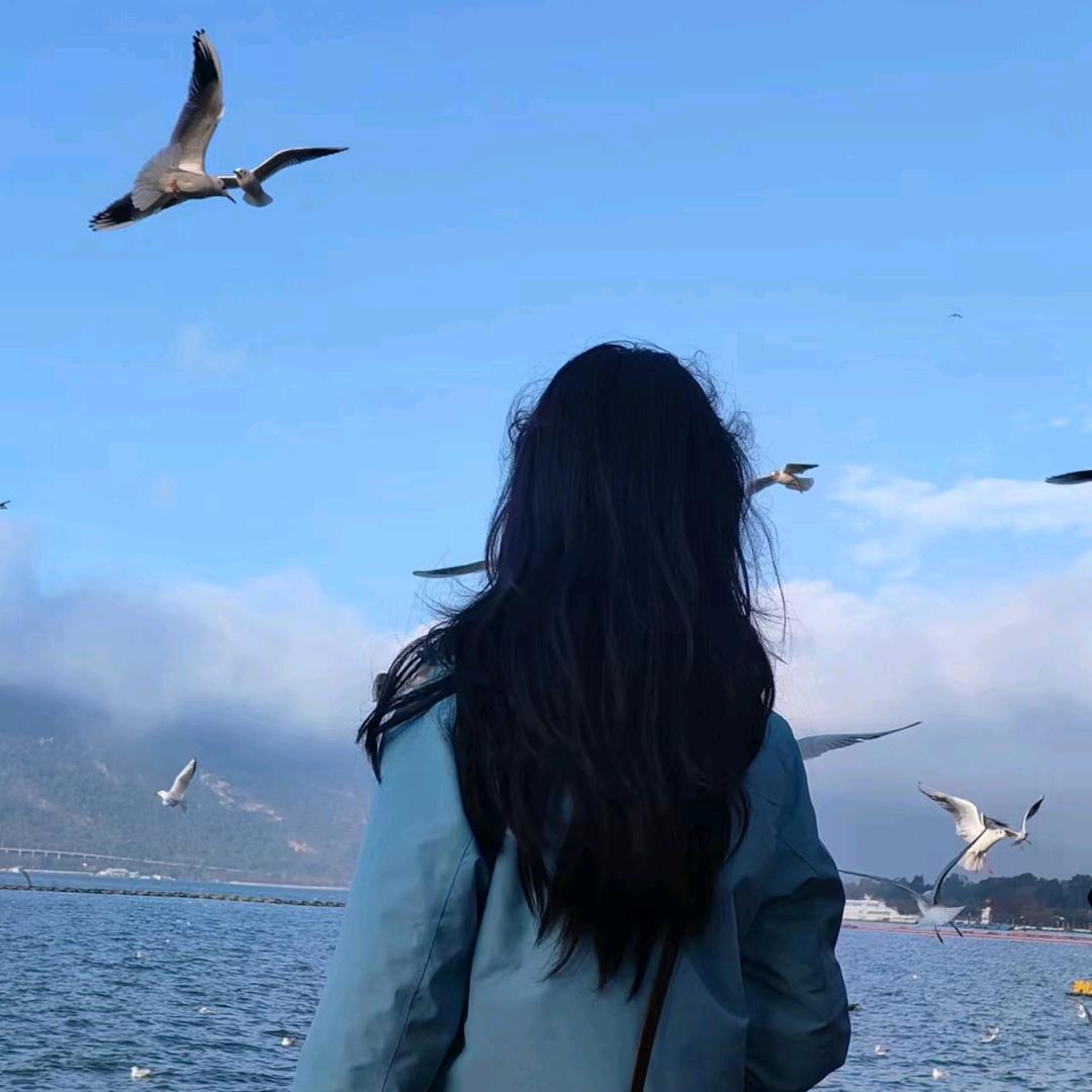 🍂🍂时光清浅🍁🍁