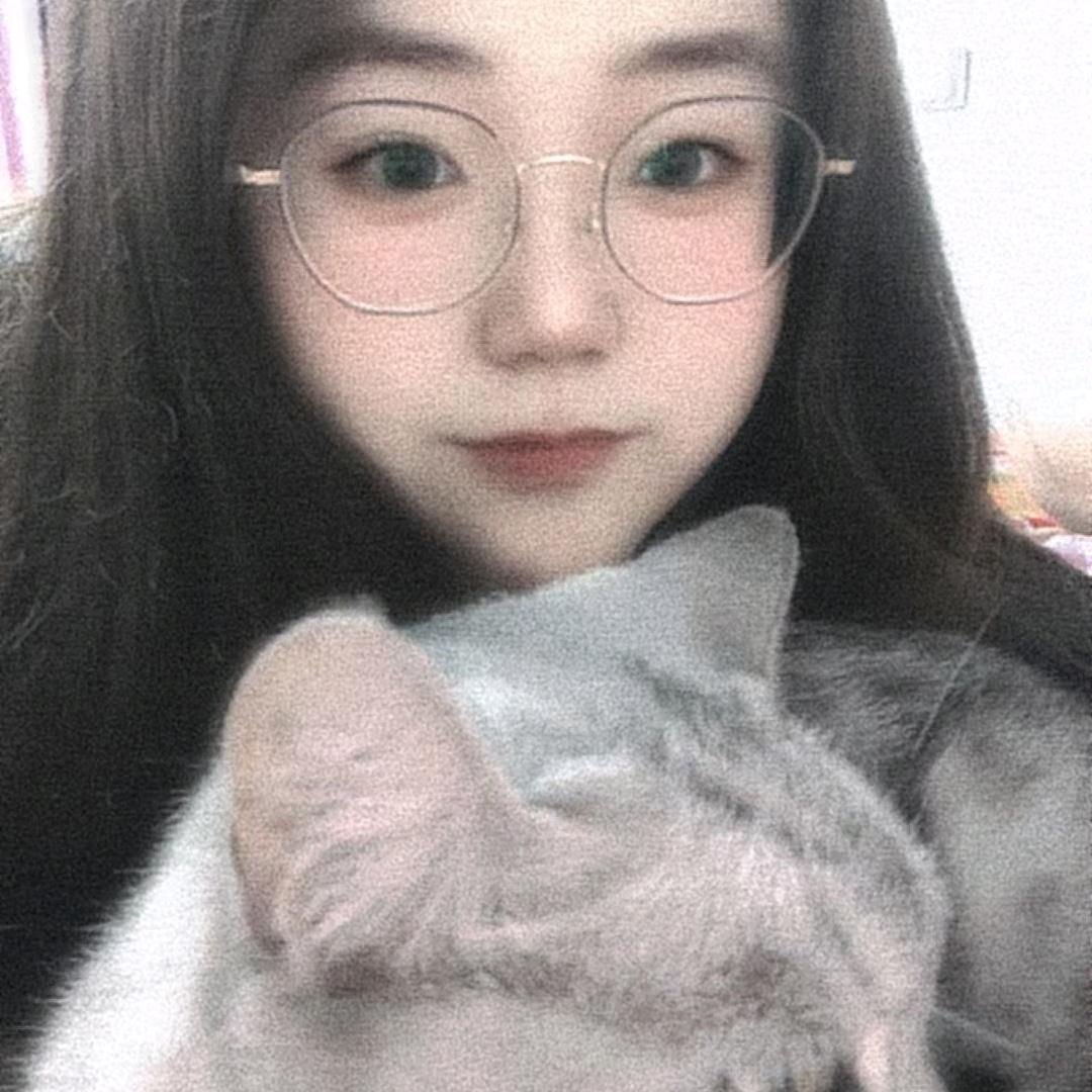 🌈 野 猫 🌸