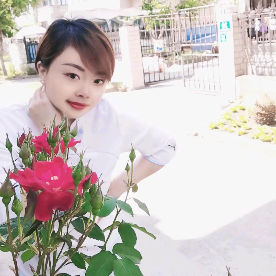 河南婷婷