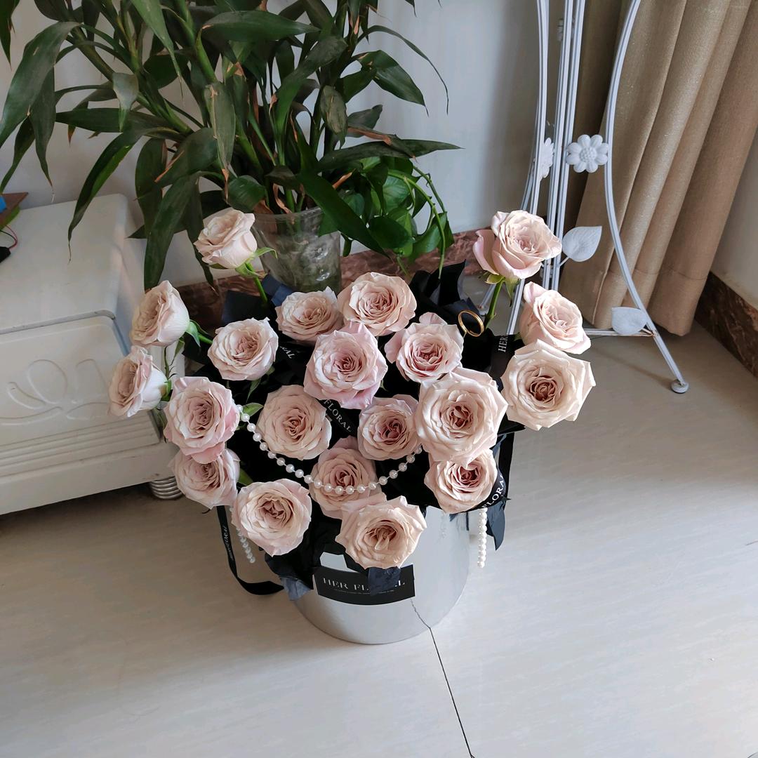 陇西鑫顺再资源回收（废铁、铜铝不锈钢）