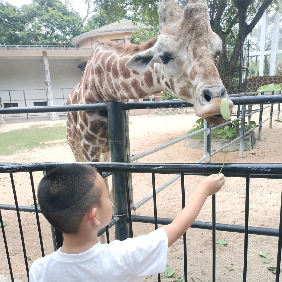 善待自己就是养生