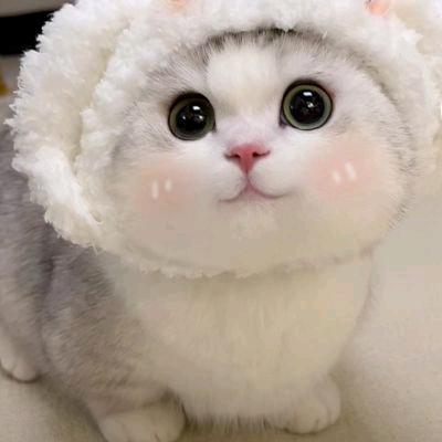小优短剧