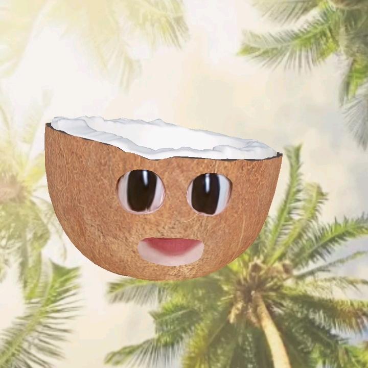 老椰子
