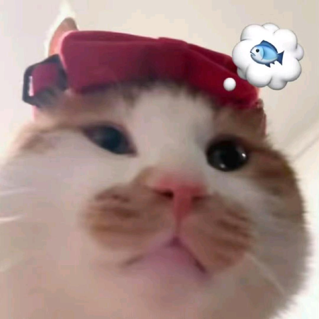 祁舟眠.