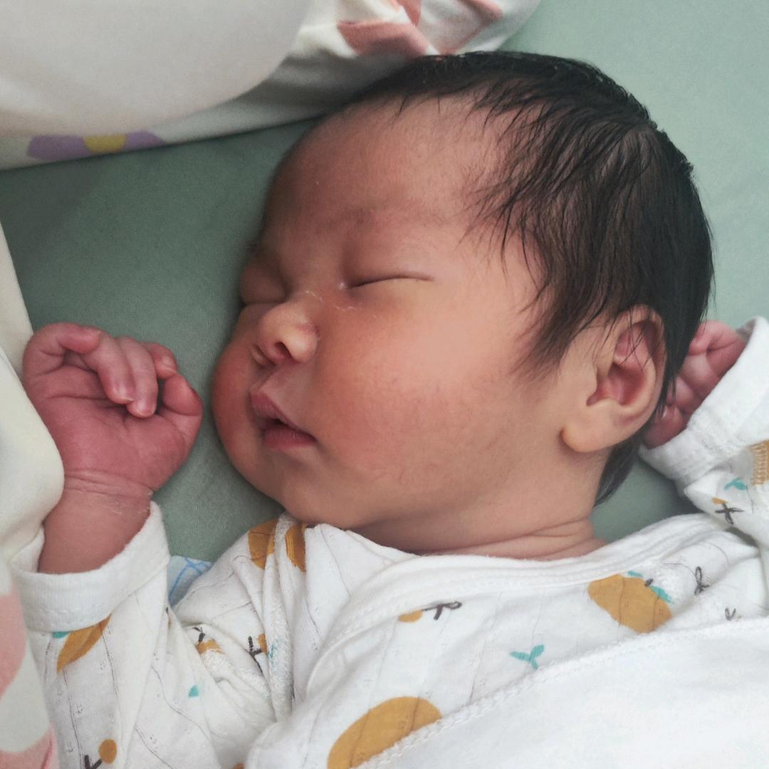 小七七(成长记)