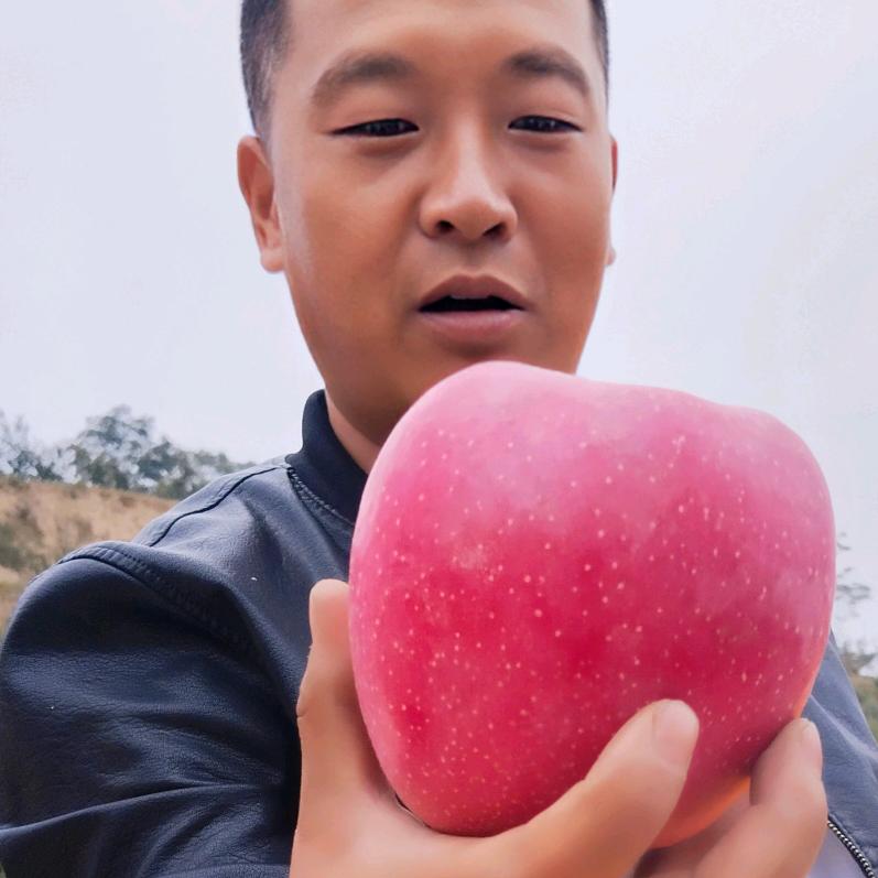 甘肃🍎苹果哥（宋鑫茂）