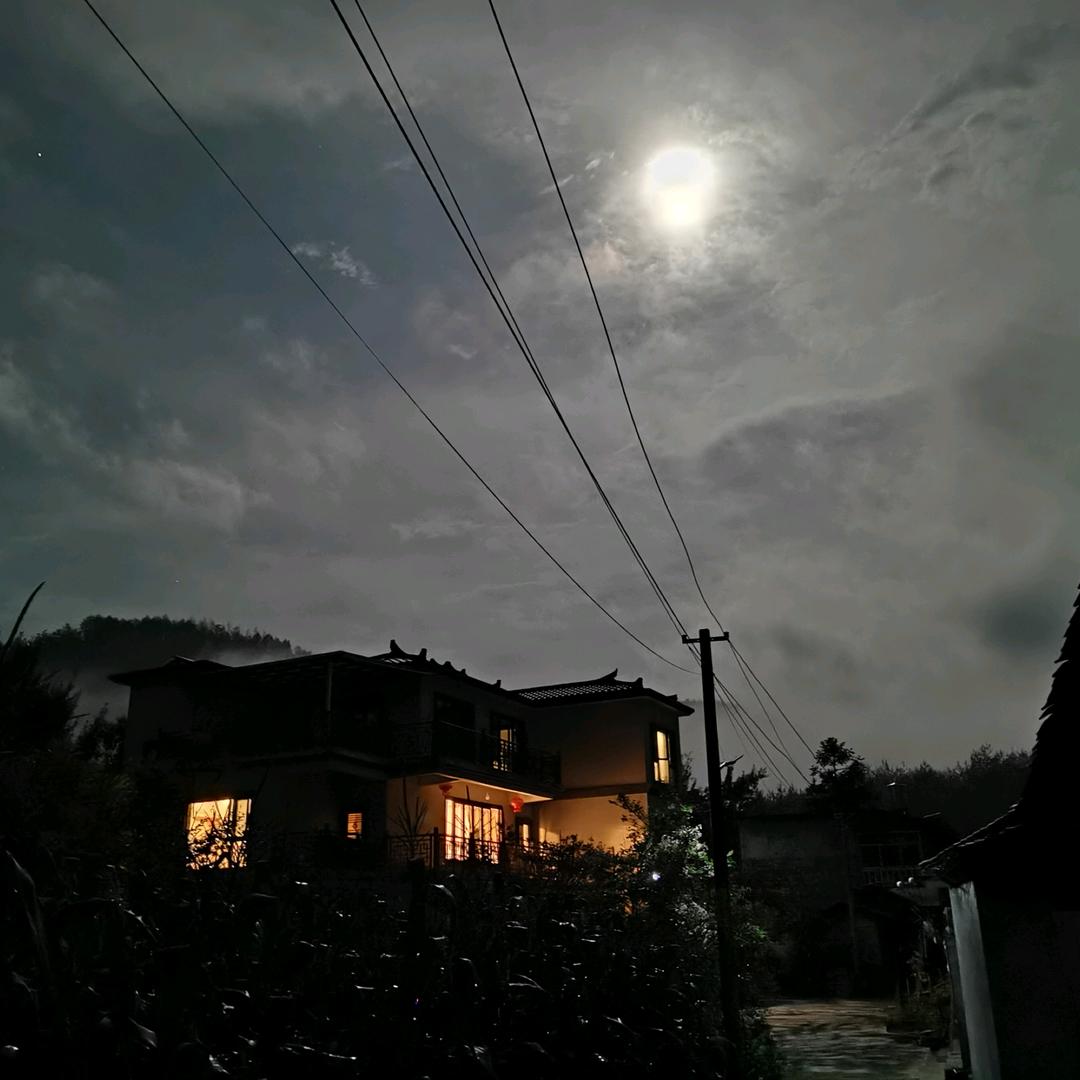 天一数码
