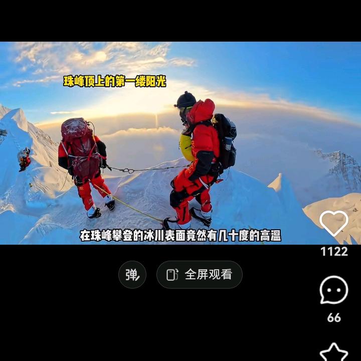 专梢小白兔的黑兔子