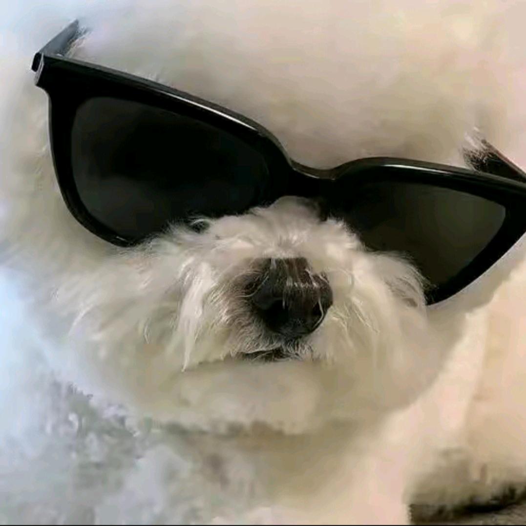 六六七