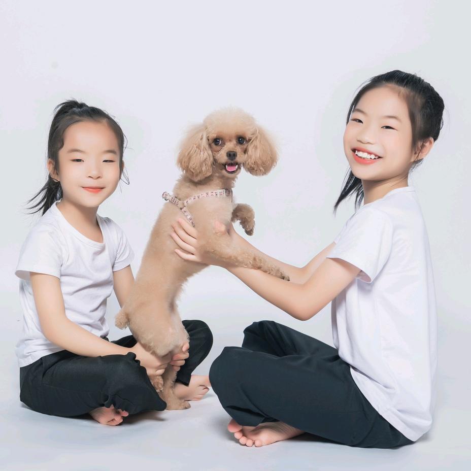 泰迪Miki和耶耶饭团（猫狗双全）