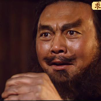 飞飞公主
