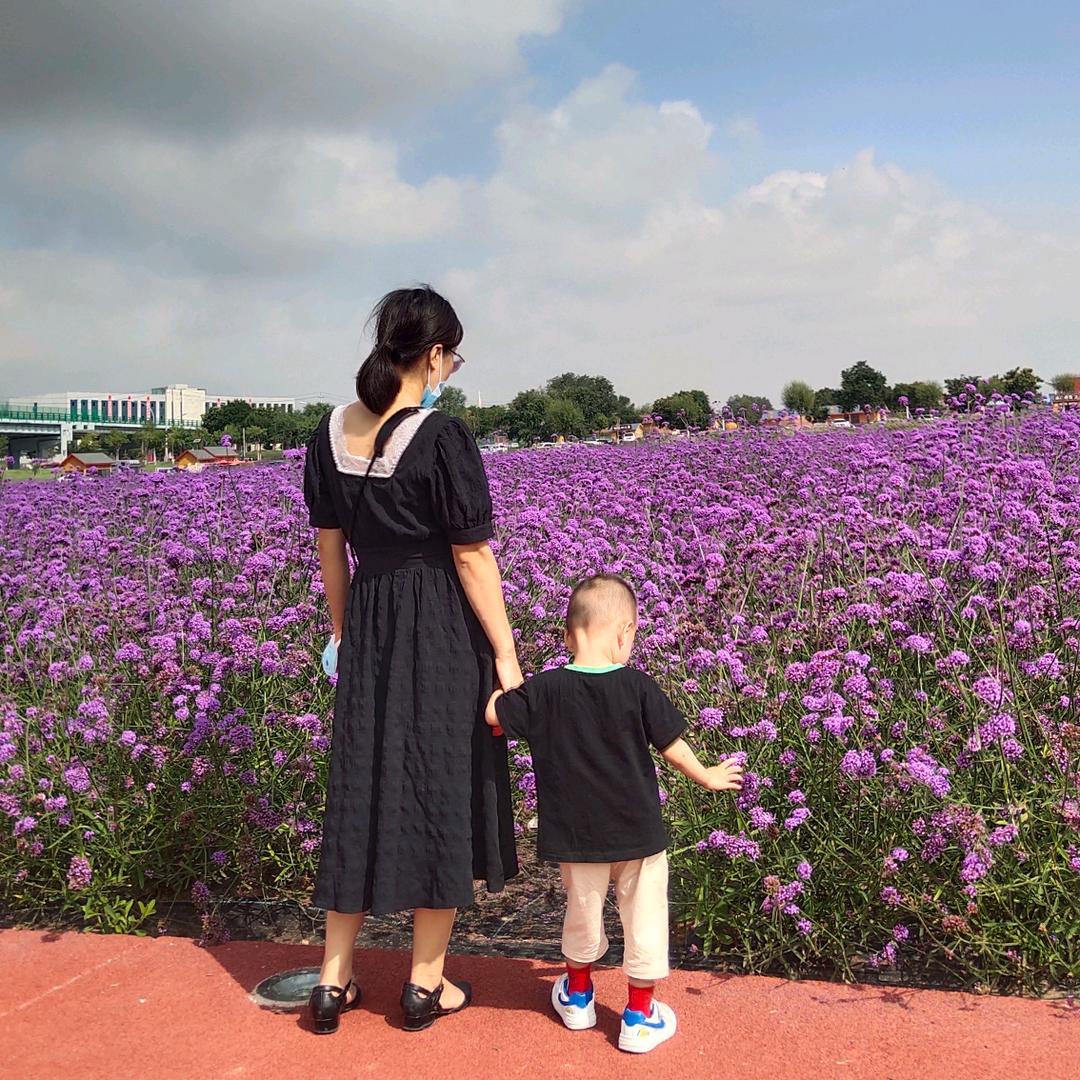 淺夏、初雨－禾baby