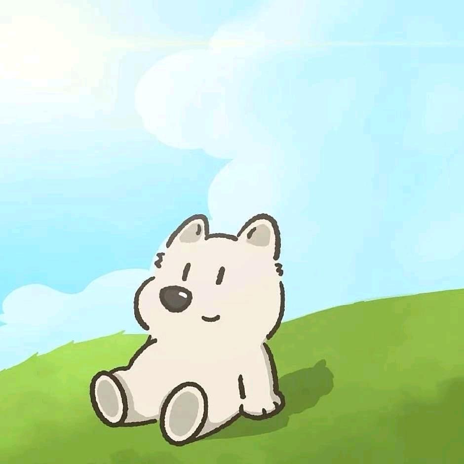 Wy