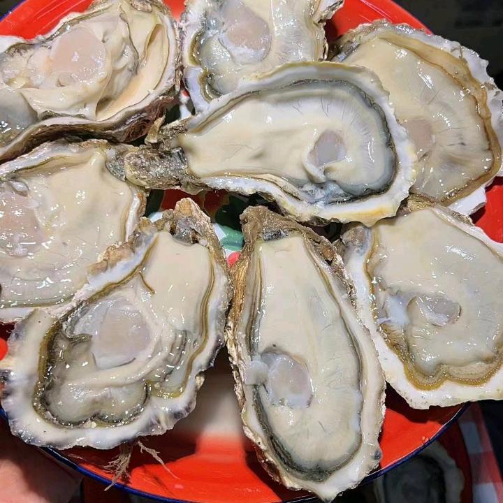邹平海鲜莎莎烤生蚝批发零售实地教学